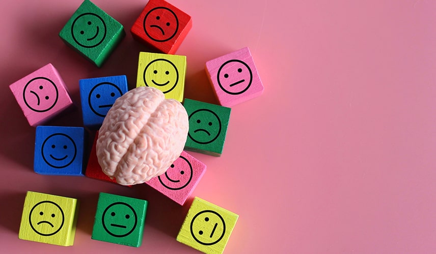 اجزای هوش هیجانی